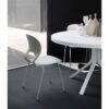 Pikaia Chair