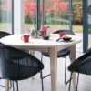 Vincent Sheppard Joe Dining Chair