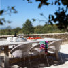 Gipsy Dining Chair