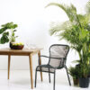 Vincent Sheppard Loop Dining Chair