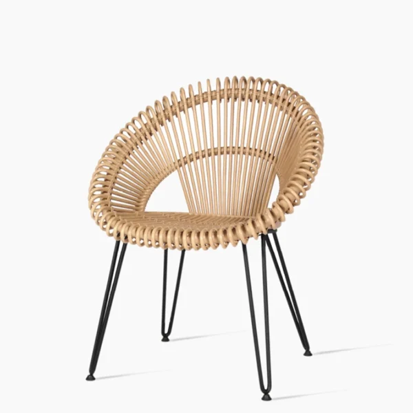 Curly Dining Chair