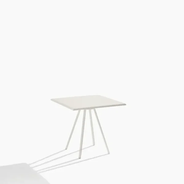 Zebra square table