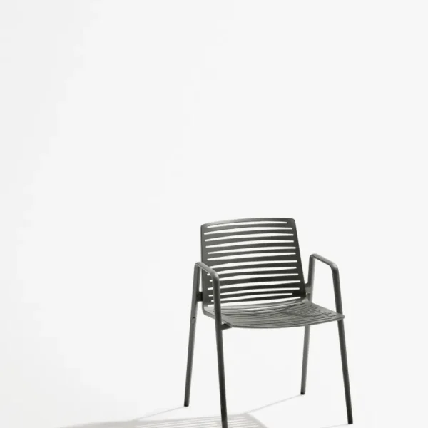 Zebra Armchair