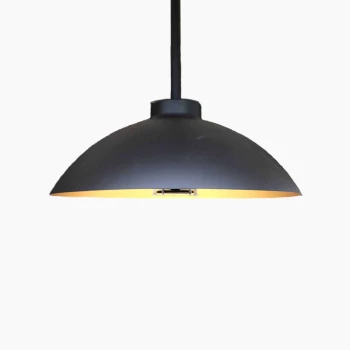 Dome pendant light & heater